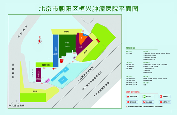 插老逼网址北京市朝阳区桓兴肿瘤医院平面图